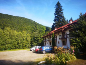 Hotels in Sâmbăta De Sus